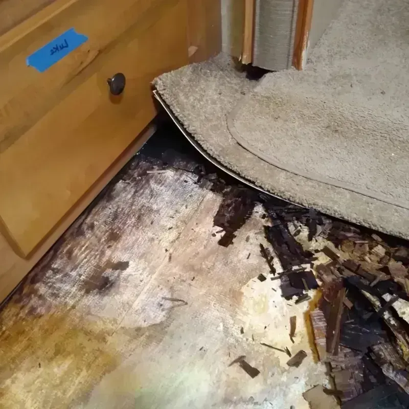 Best Wood Floor Water Damage Service in Charleroi, PA